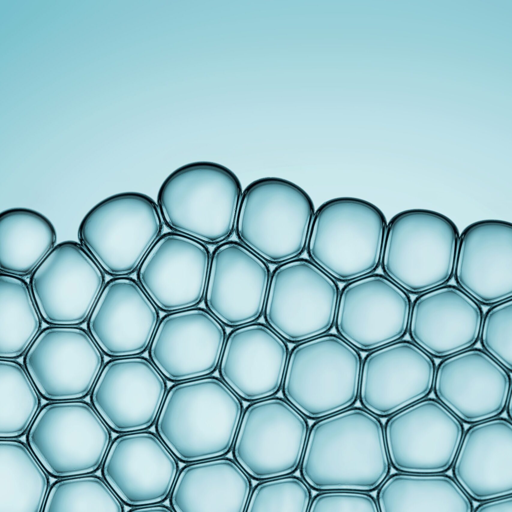 Cells division process, Cell divides into two cells